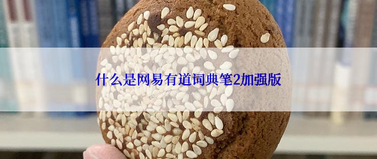 什么是网易有道词典笔2加强版