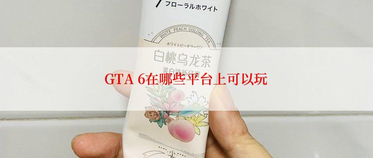 GTA 6在哪些平台上可以玩