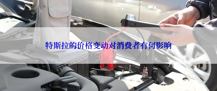 特斯拉的价格变动对消费者有何影响