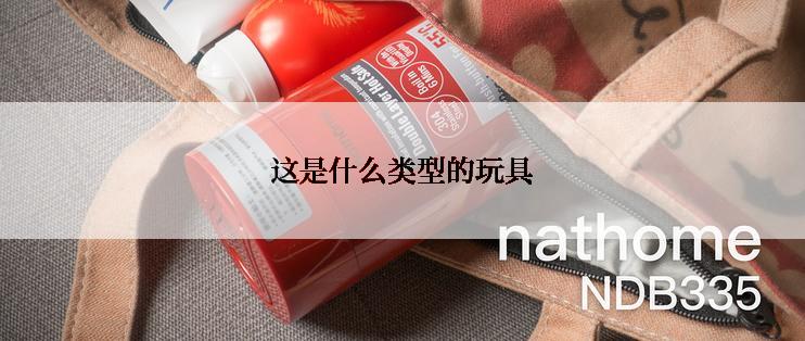 这是什么类型的玩具