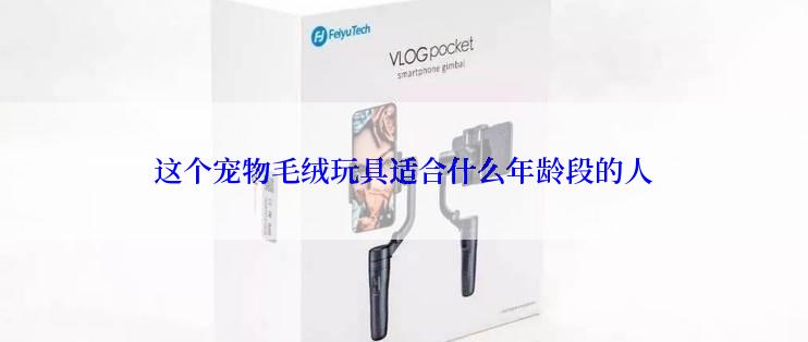 这个宠物毛绒玩具适合什么年龄段的人