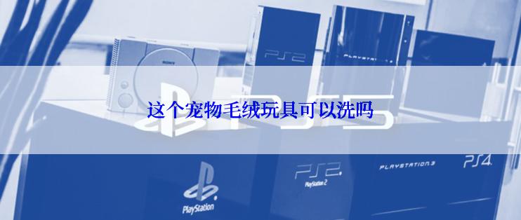 这个宠物毛绒玩具可以洗吗