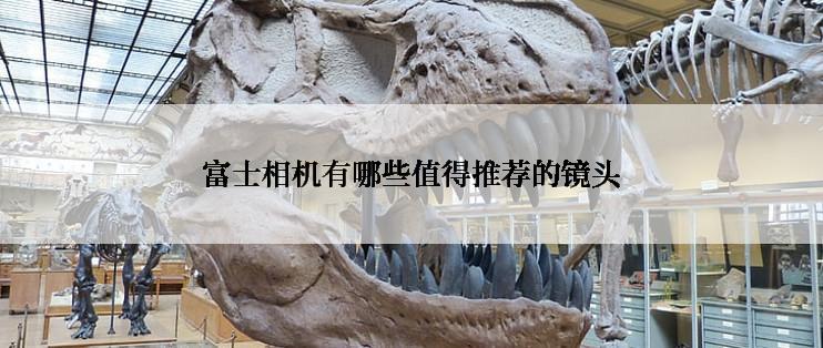 富士相机有哪些值得推荐的镜头