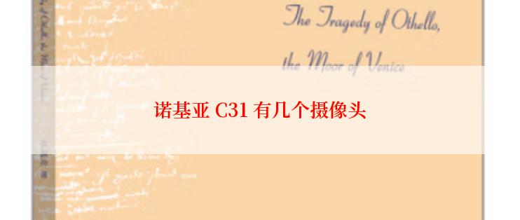 诺基亚 C31 有几个摄像头