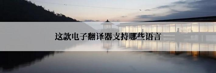 这款电子翻译器支持哪些语言