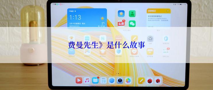 费曼先生》是什么故事
