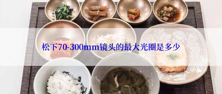 松下70-300mm镜头的最大光圈是多少