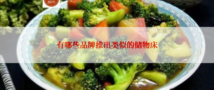 有哪些品牌推出类似的储物床