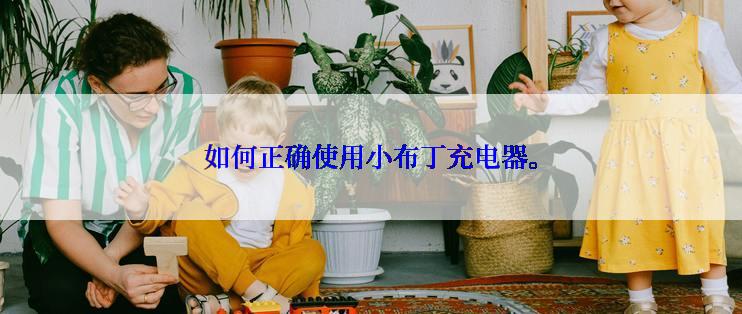 如何正确使用小布丁充电器。