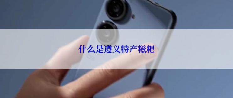 什么是遵义特产糍粑