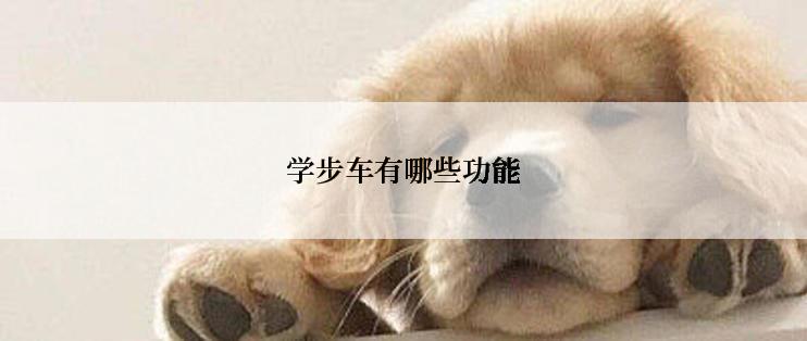 学步车有哪些功能