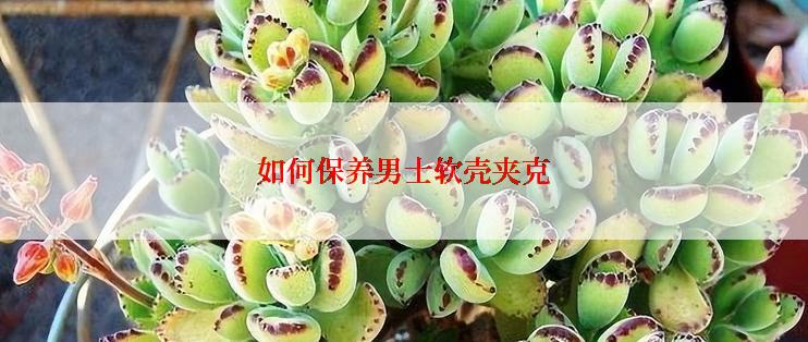 如何保养男士软壳夹克