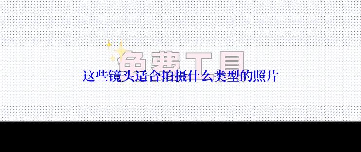 这些镜头适合拍摄什么类型的照片