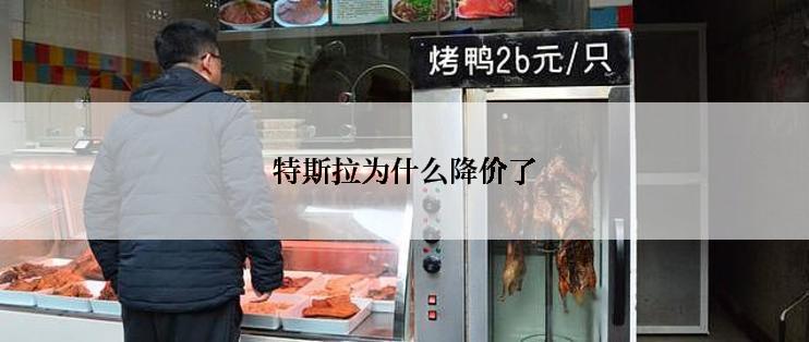 特斯拉为什么降价了