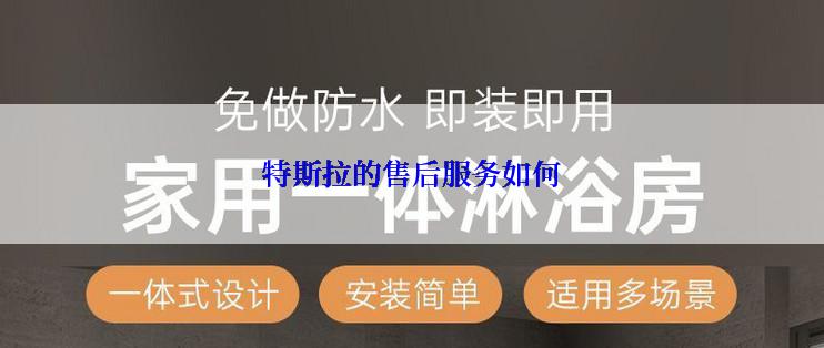 特斯拉的售后服务如何