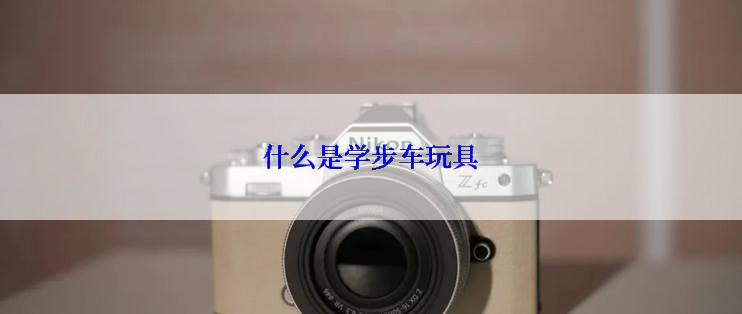 什么是学步车玩具
