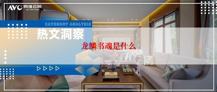 龙鳞书魂是什么