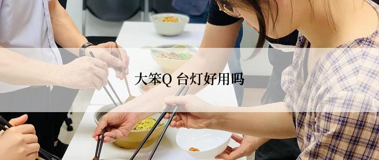 大笨Q 台灯好用吗