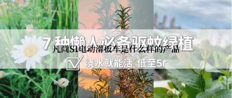 凡尚S1电动滑板车是什么样的产品