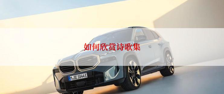 如何欣赏诗歌集