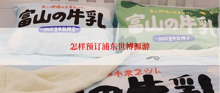 怎样预订浦东世博源游
