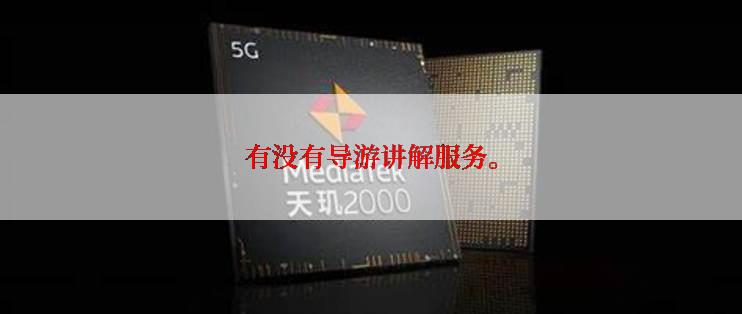 有没有导游讲解服务。