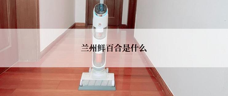 兰州鲜百合是什么