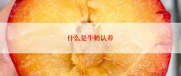 什么是牛奶认养