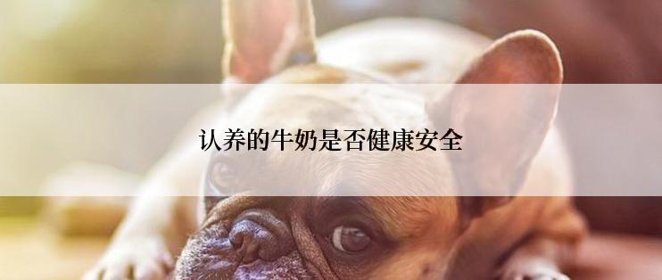 认养的牛奶是否健康安全