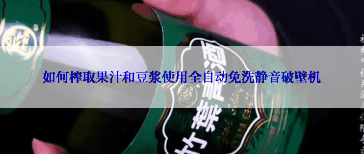 如何榨取果汁和豆浆使用全自动免洗静音破壁机