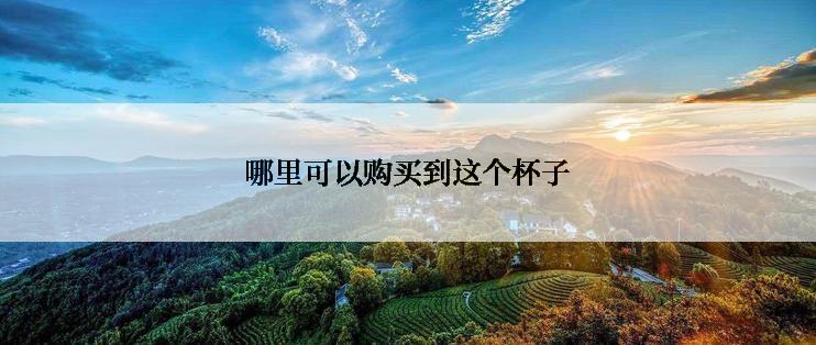 哪里可以购买到这个杯子