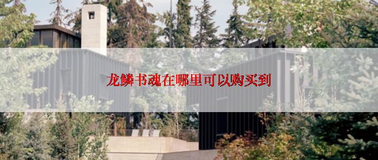 龙鳞书魂在哪里可以购买到