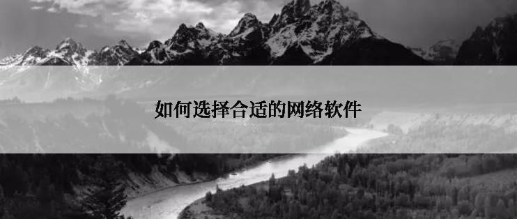 如何选择合适的网络软件