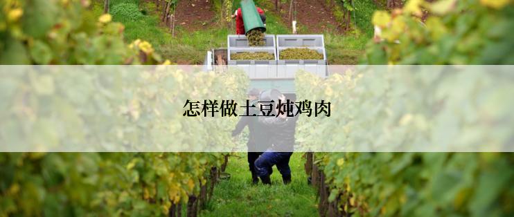 怎样做土豆炖鸡肉