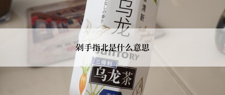 剁手指北是什么意思