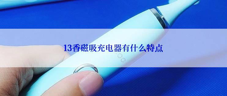 13香磁吸充电器有什么特点
