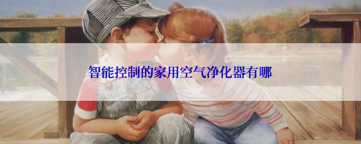 智能控制的家用空气净化器有哪
