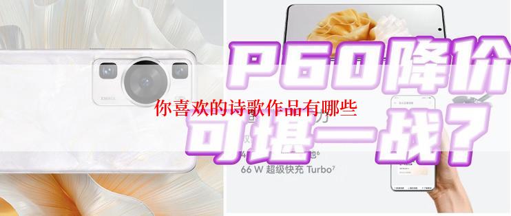你喜欢的诗歌作品有哪些