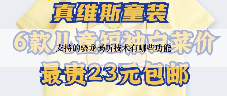 支持的骁龙畅听技术有哪些功能