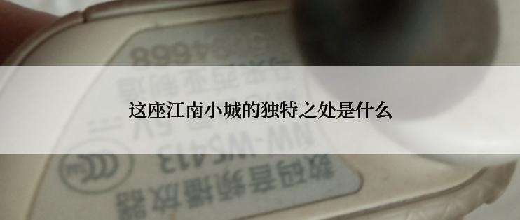 这座江南小城的独特之处是什么