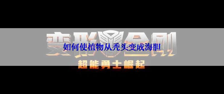 如何使植物从秃头变成海胆