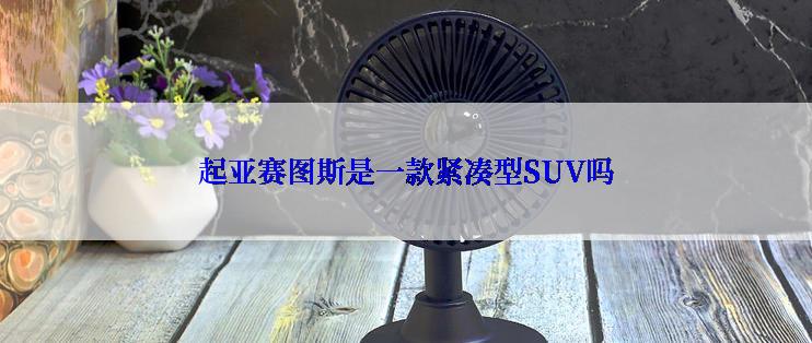 起亚赛图斯是一款紧凑型SUV吗