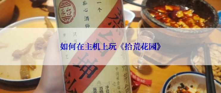 如何在主机上玩《拾荒花园》