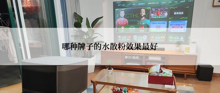 哪种牌子的水散粉效果最好