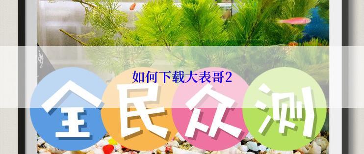 如何下载大表哥2