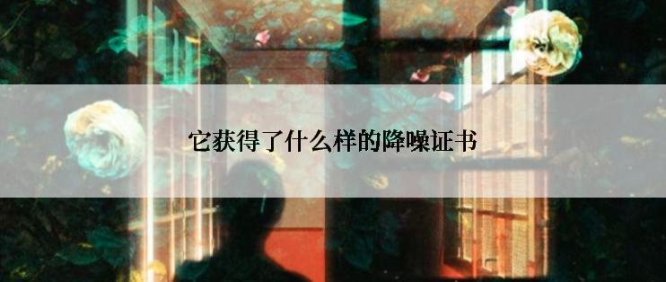 它获得了什么样的降噪证书