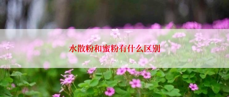 水散粉和蜜粉有什么区别