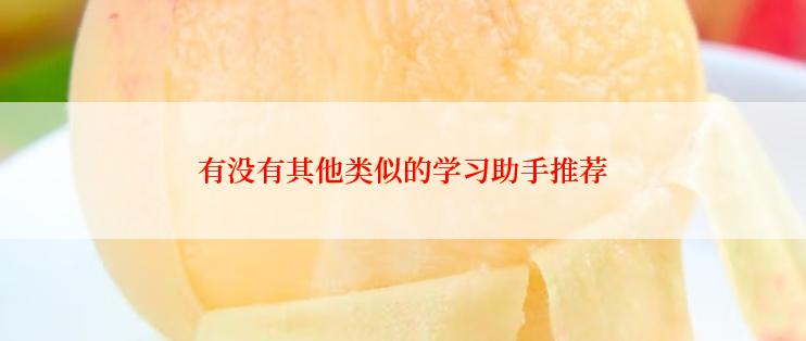 有没有其他类似的学习助手推荐