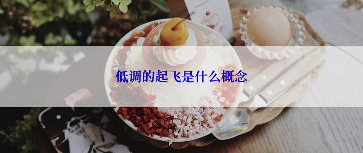 低调的起飞是什么概念