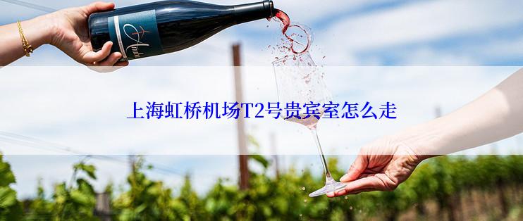 上海虹桥机场T2号贵宾室怎么走